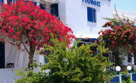 Hotel Apartments Giannis