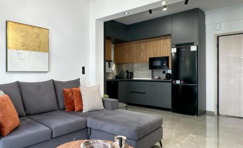 Luxury Downtown Apartment D1