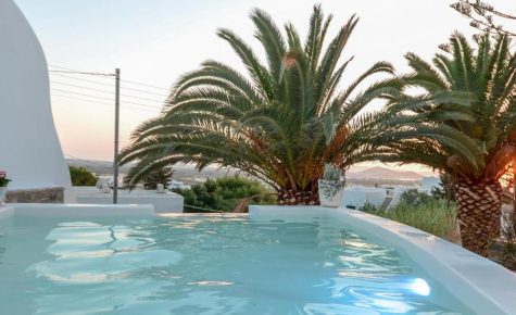 Flora's Villa with Plunge Pool