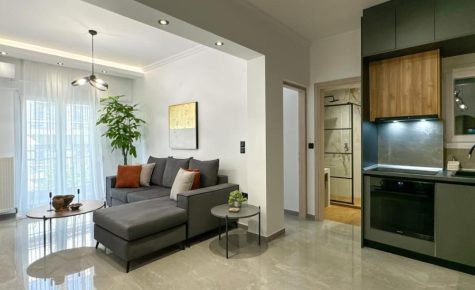 Luxury Downtown Apartment D1