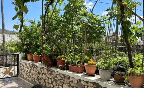 Kate's Guesthouse