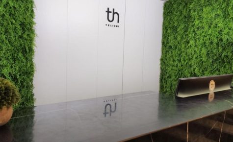 Telioni Hotel