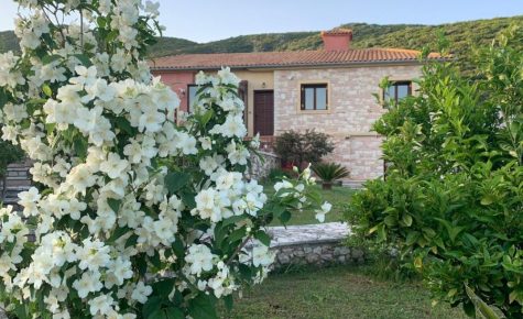 Iris Bioclimatic House