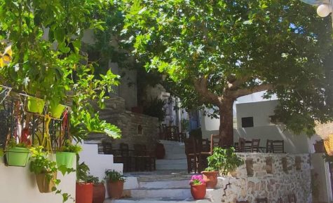 Fasolas square house 