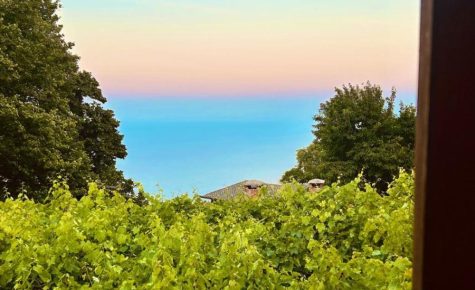 Erato's Nest - Pelion