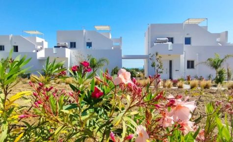 Saint Nicholas Houses