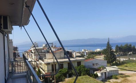 Λεμονιά Ενοικιαζόμενα δωμάτια